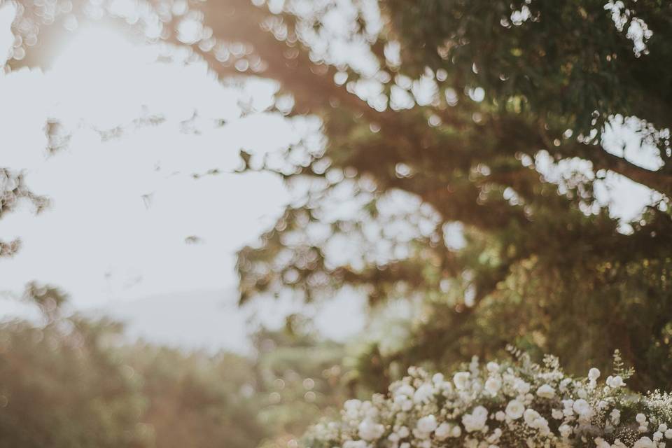 Fotografia de Casamento