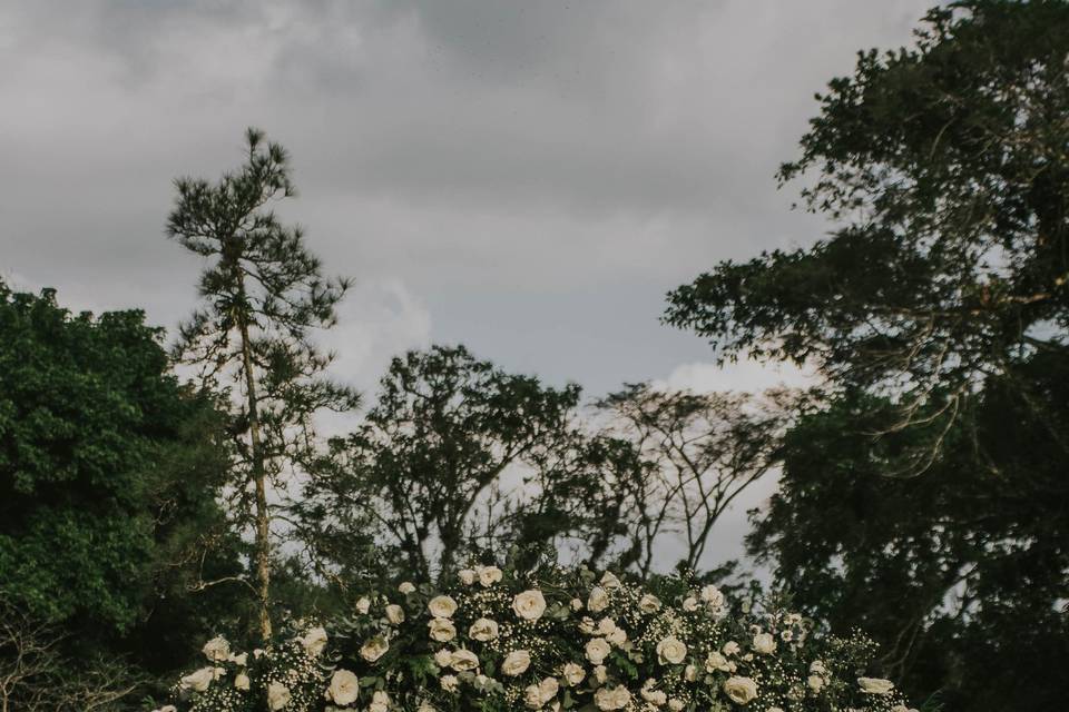 Fotografia de Casamento