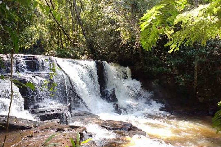 Cachoeira prox Rib. Preto