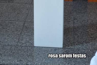 Rosa de Saron Assessoria