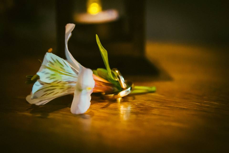 Alianças