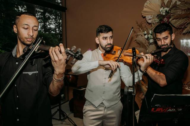 Violinista