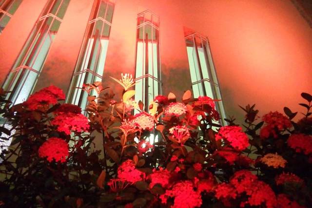Iluminação decorativa