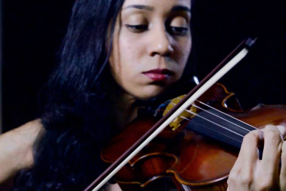 Violino