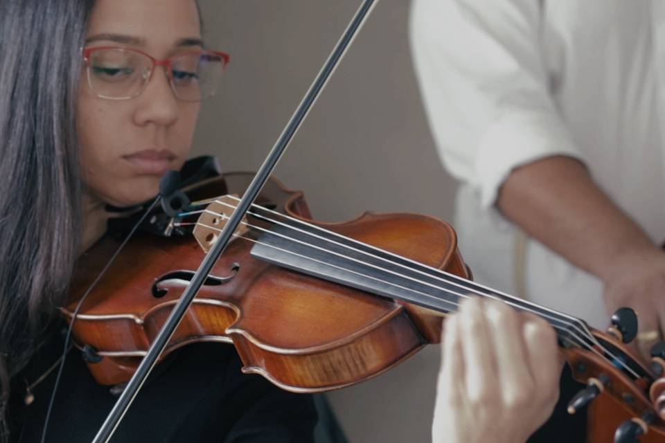 Violino