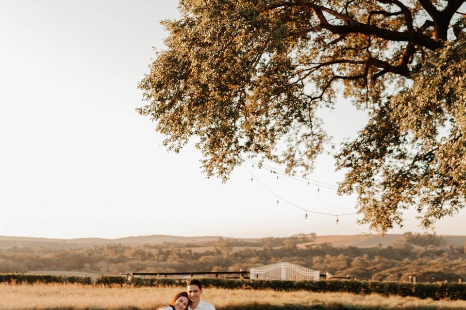 Pré Wedding - Thalita & Igor