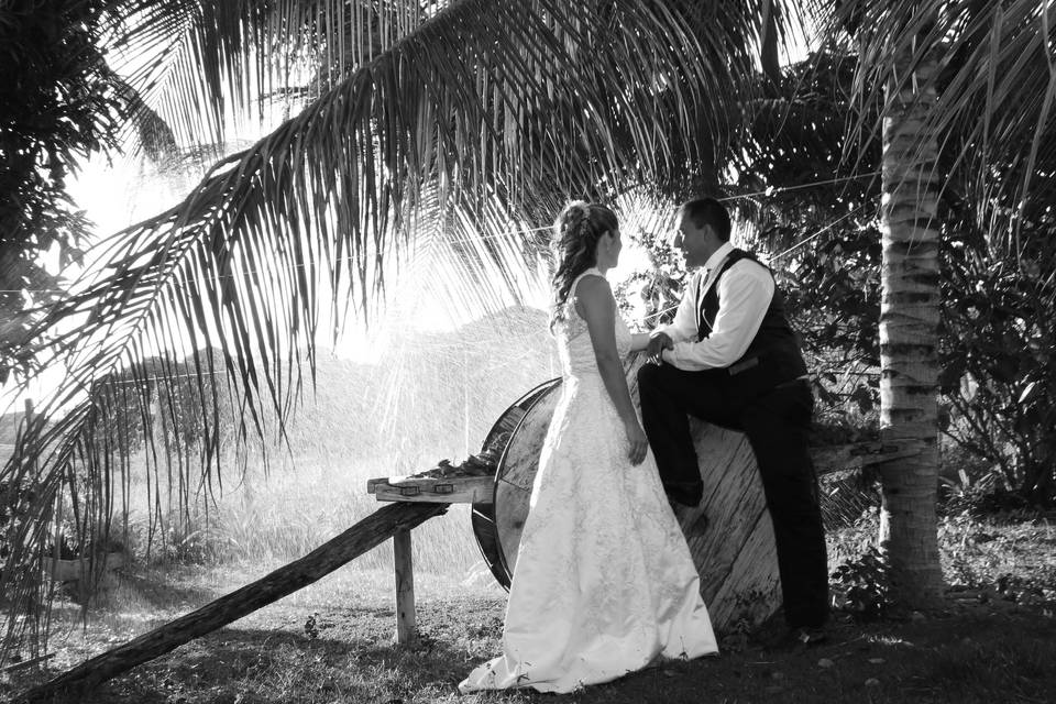 Casamento do ano