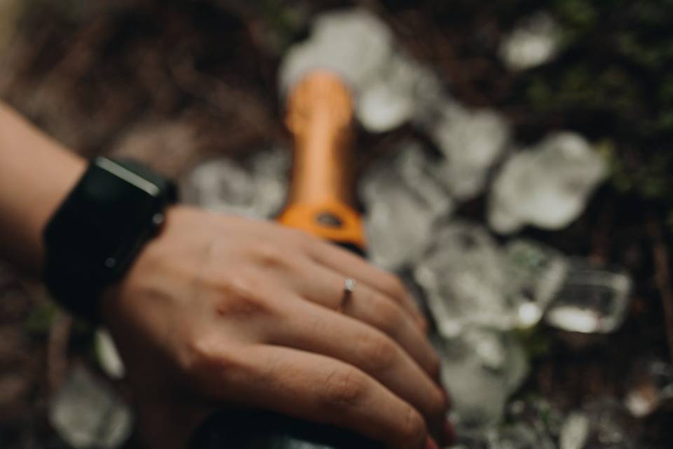 Champanhe veuve clicquot brut