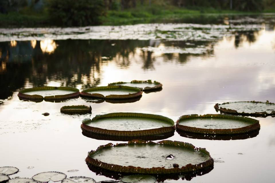 Vista linda para lagoa