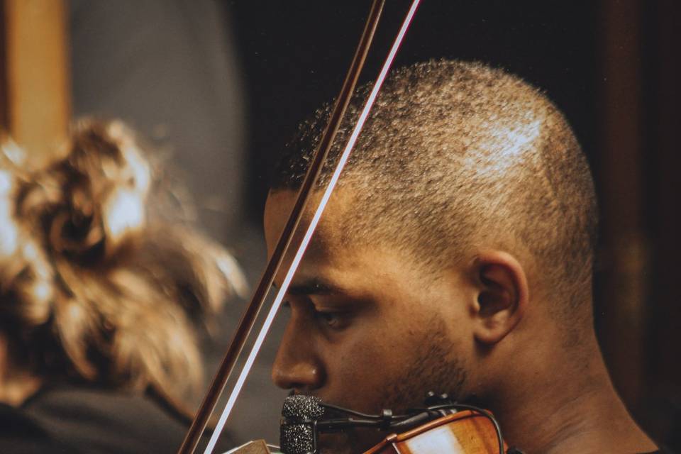 Violino para casamento