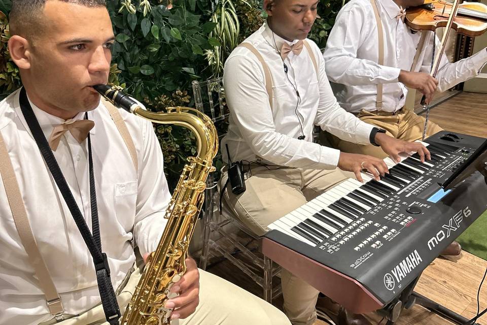 Músicos qualificados