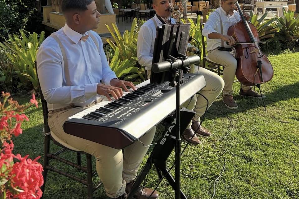 Trio