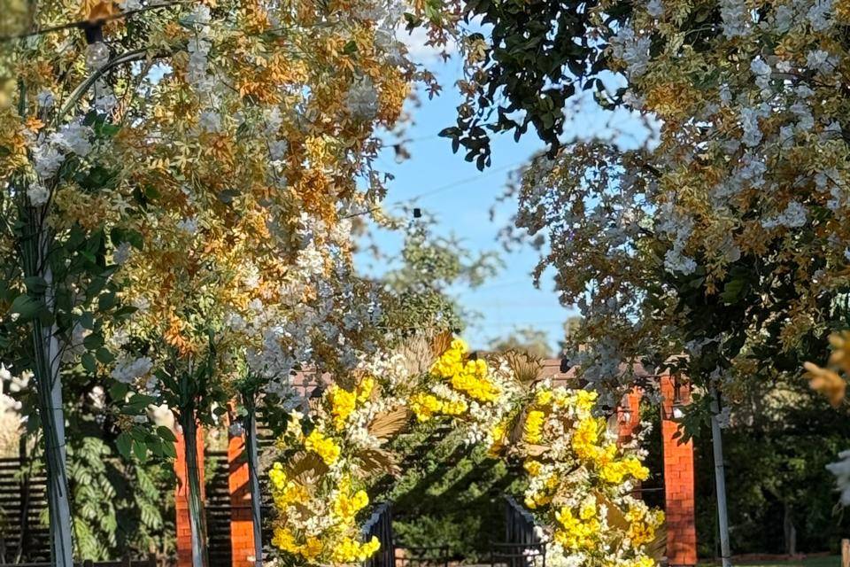 Primavera