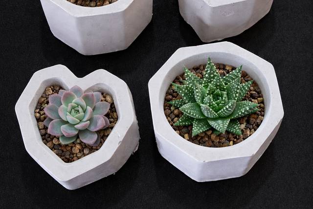 Karoline Ribeiro da Silva