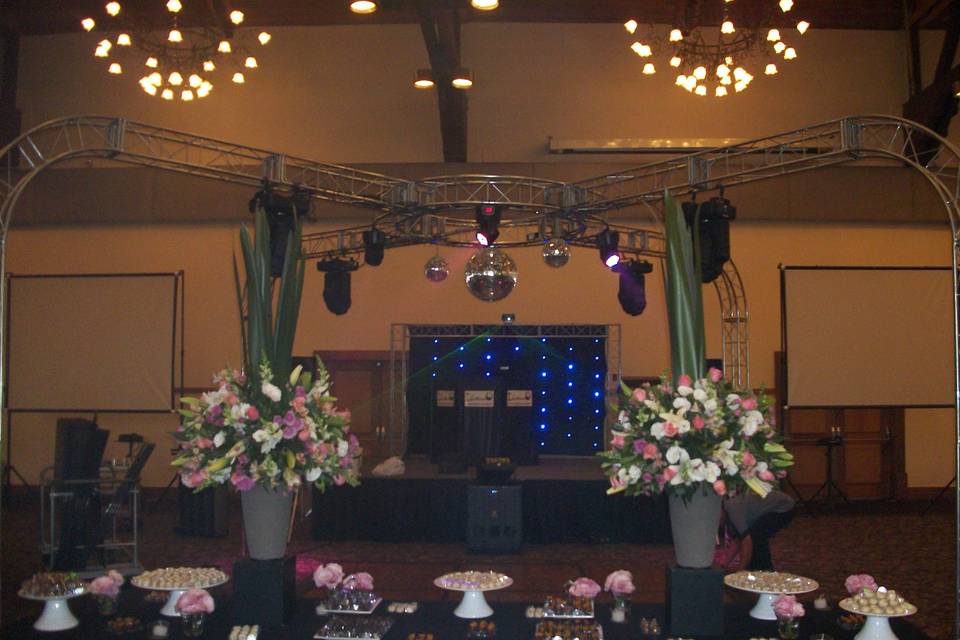 DjNovo Royal Palm Plaza