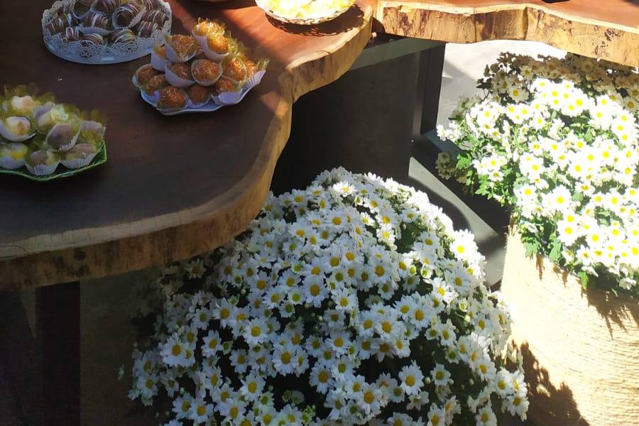 Casamento em Restaurante