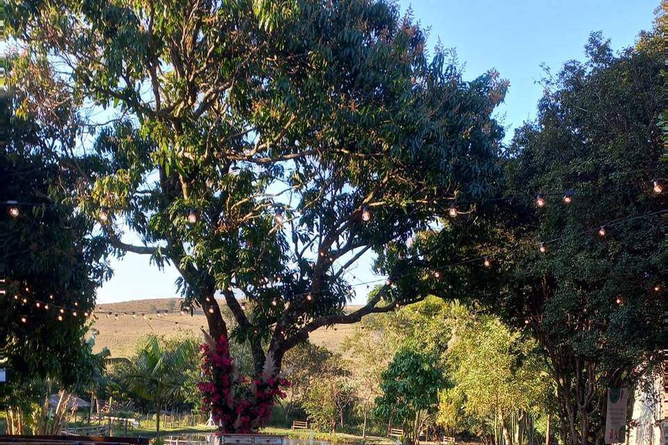 Casamento ao ar livre