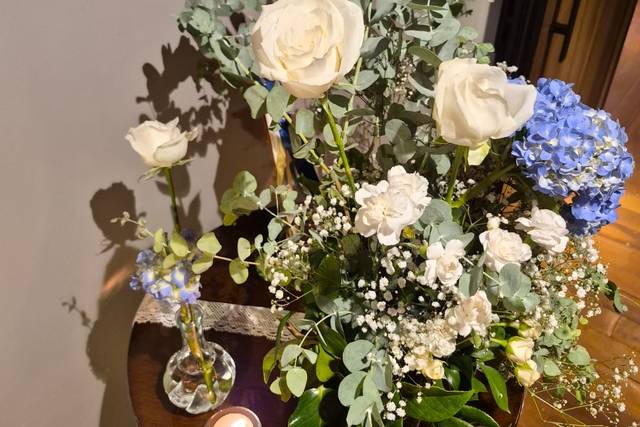 Rosas jardim
