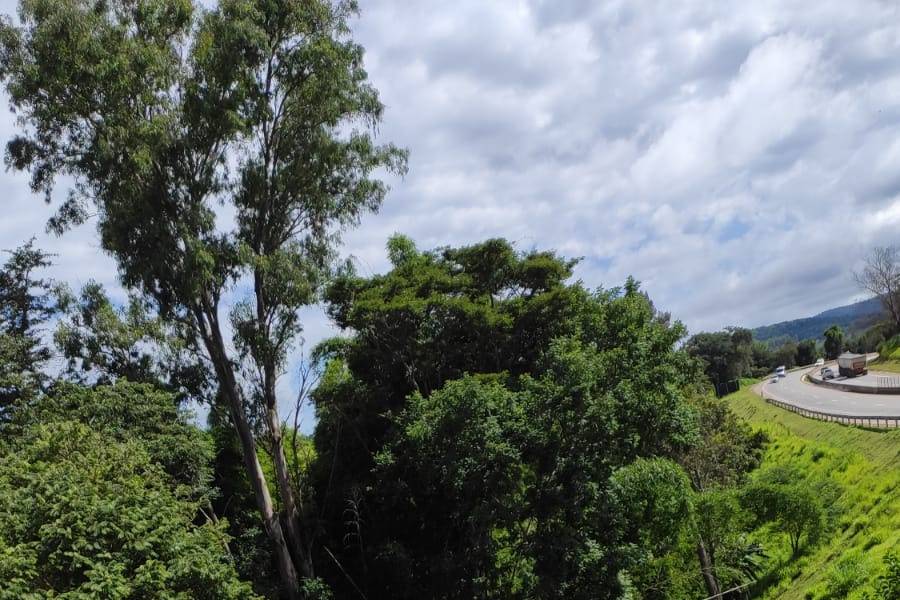 Jardim externo e pergolado