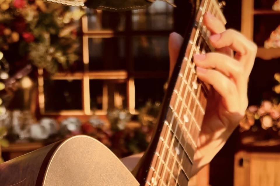 Violão