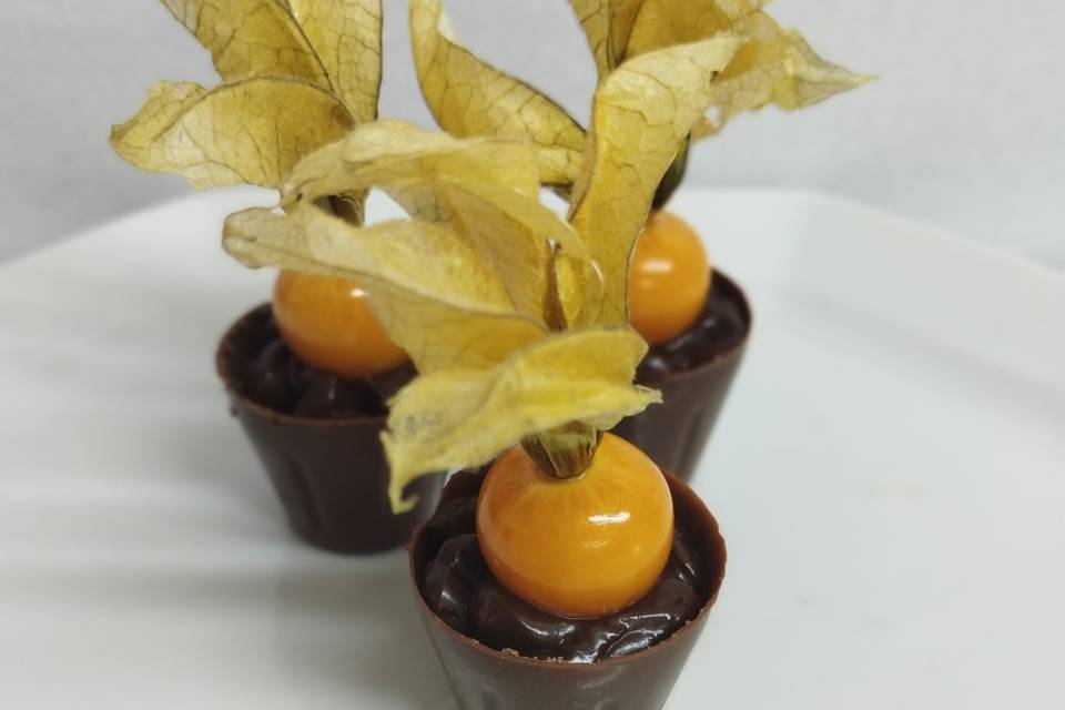 Petit verri physalis