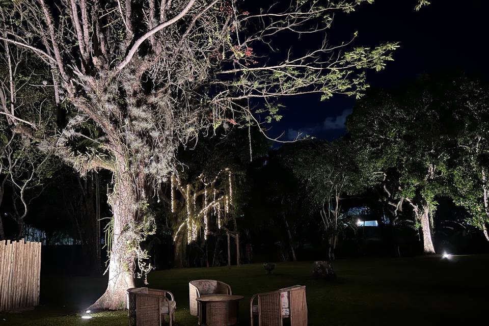 Porto Verde Eventos