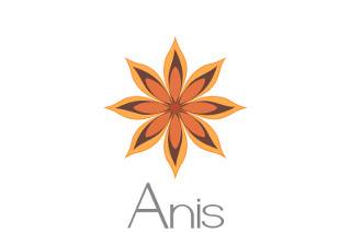 Anis Foto Lembrança logo