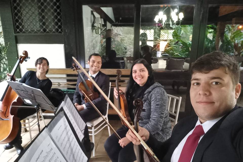 Quarteto de Cordas