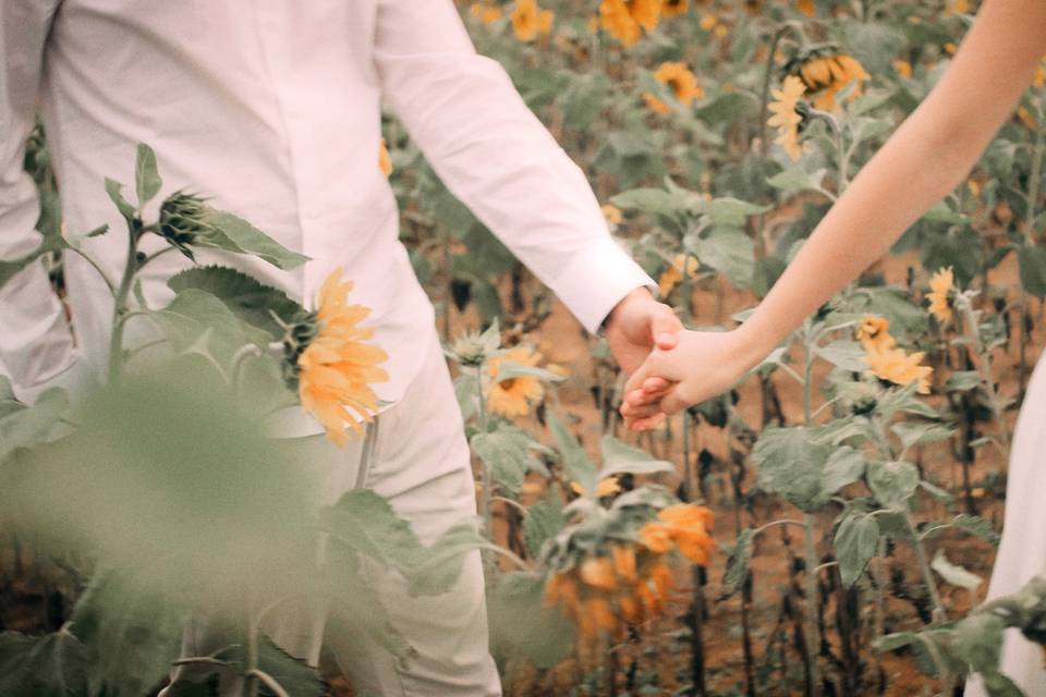 Fotografia de Casamento