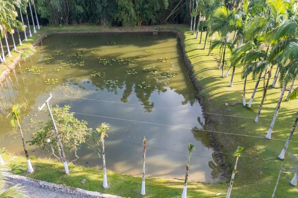 Lago