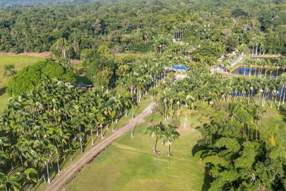 Visão de Drone