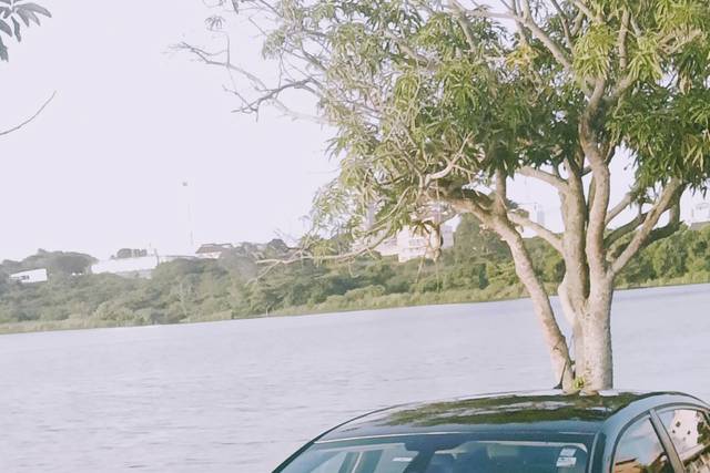 Frente do carro