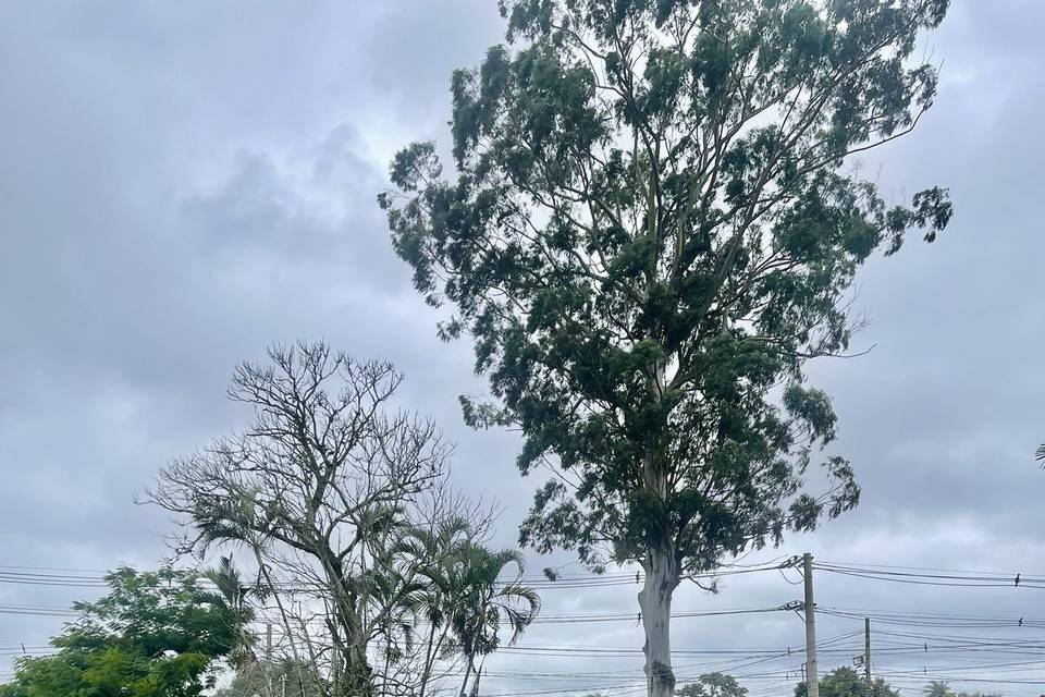 Gramado