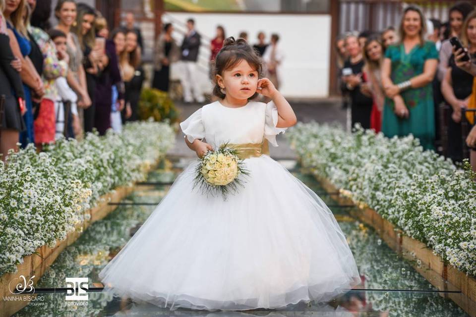 Vaninha Bíscaro Fotografia e Vídeo