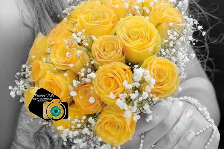 Flores