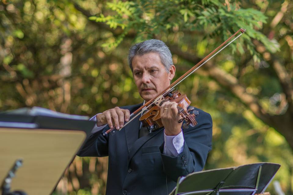 Luciano violino