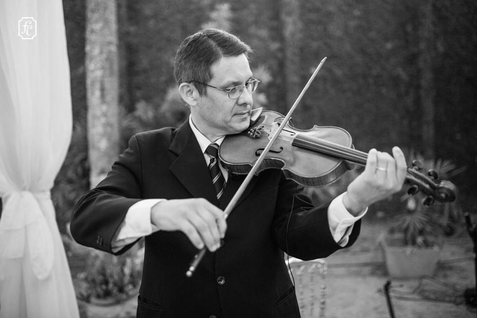 Luciano violinista
