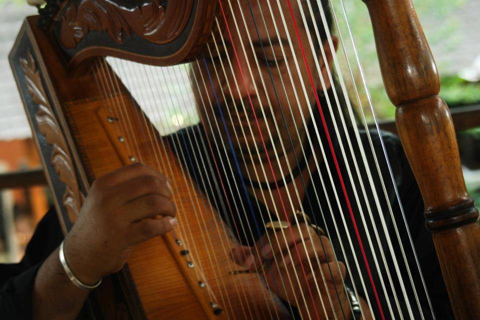 Harpa Nupcial