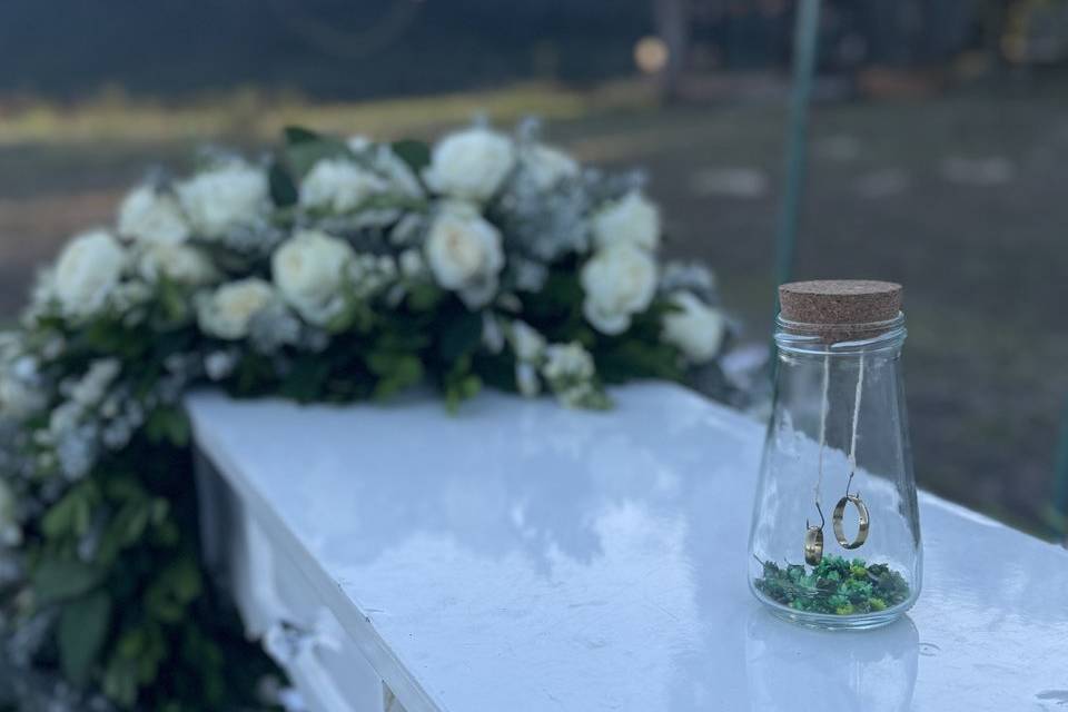 Aneis de casamento