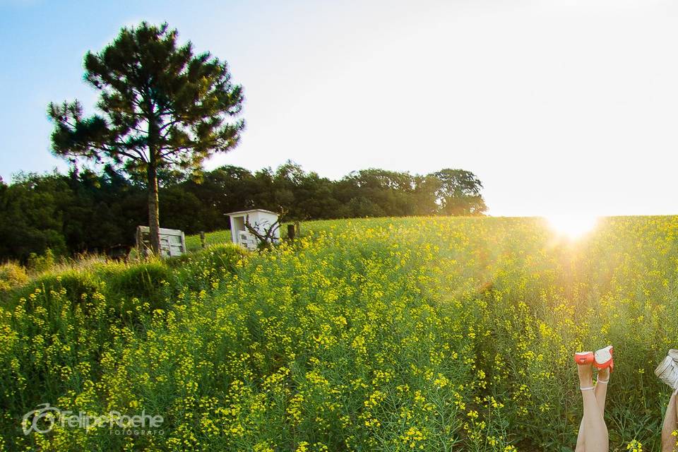 Ensaio no campo