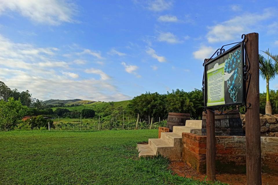 Área externa com vista