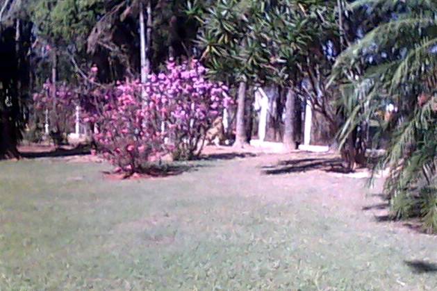 Belo jardim