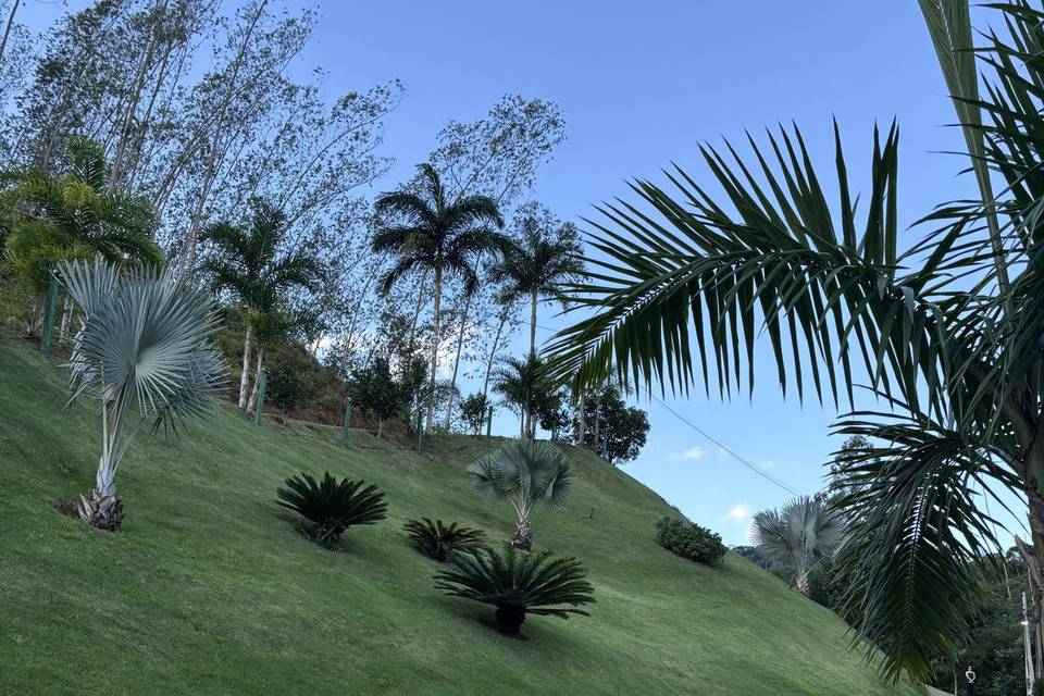 Área verde