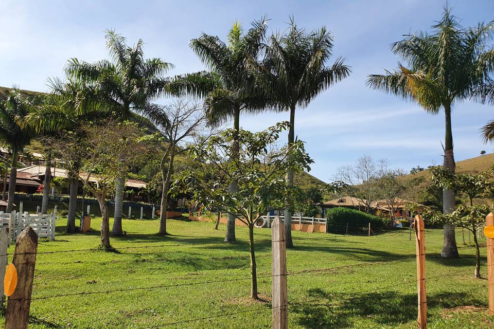 Paisagismo da fazenda