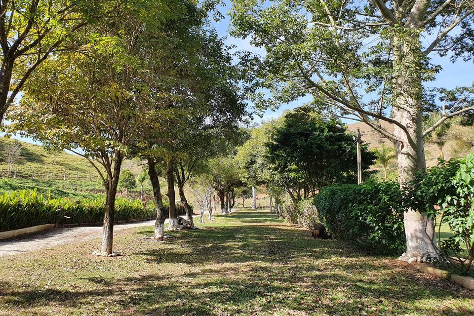 Paisagismo da fazenda