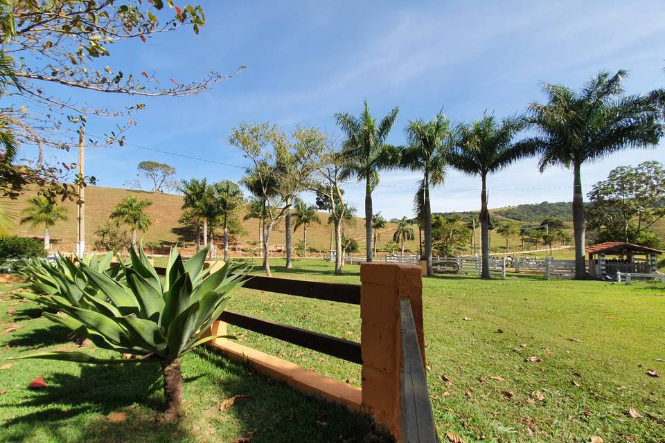 Paisagismo da fazenda