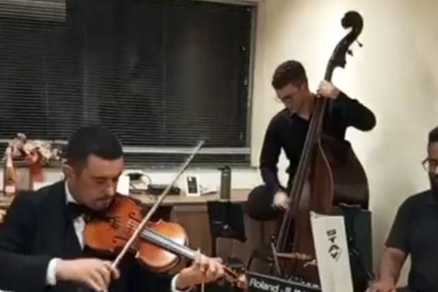 Violino, baixo e teclado