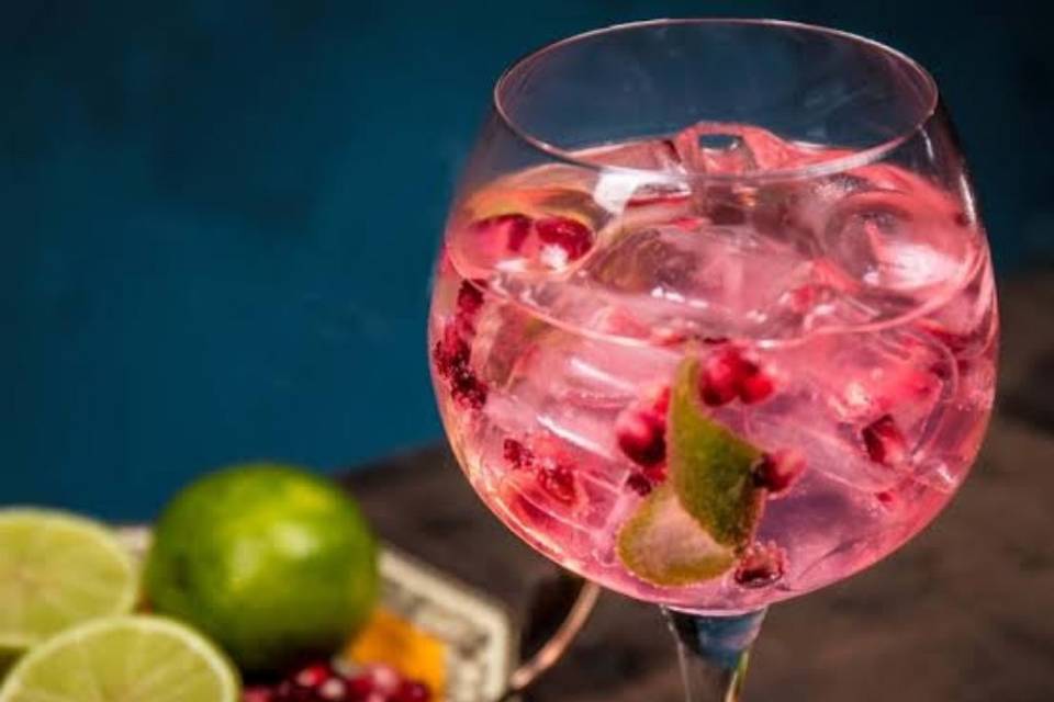 Festival de Gin gourmet