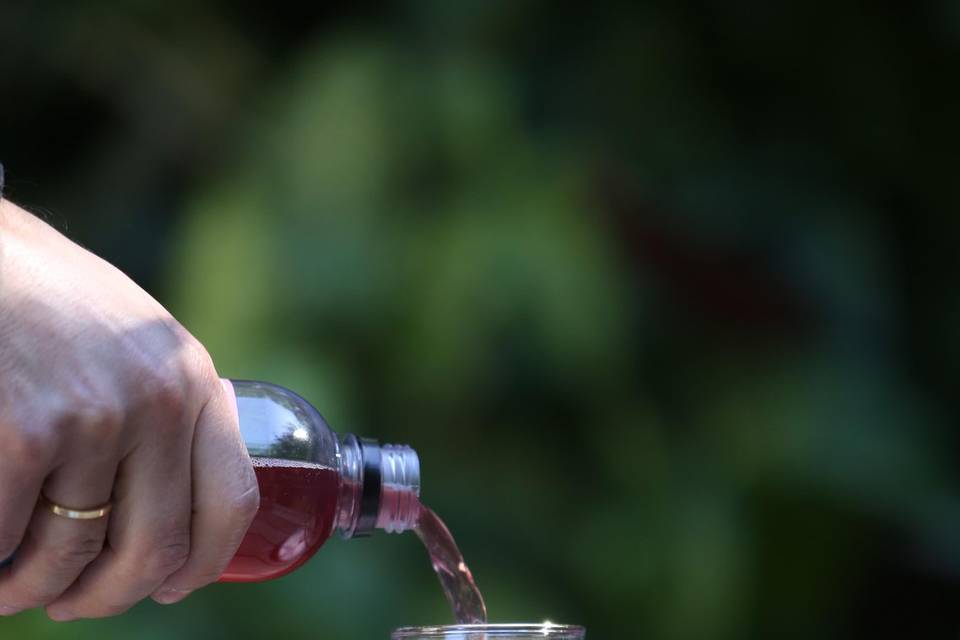 Kombucha Porto Alegre