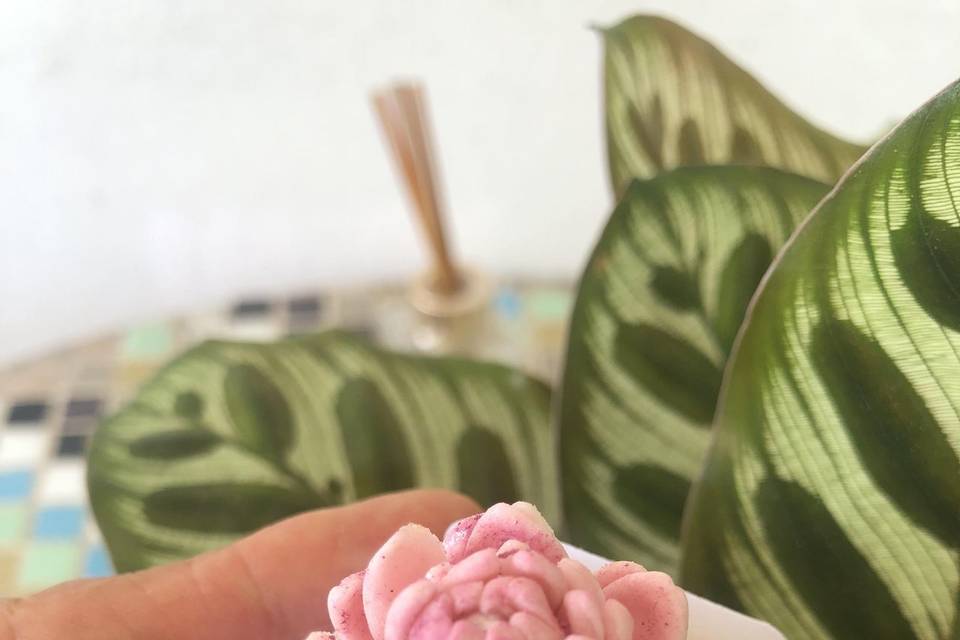 Bônus floral